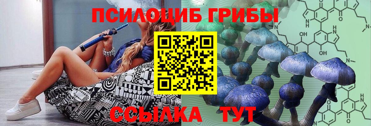 Галлюциногенные грибы ЛСД  Вход с VPN  Артём  Псилоцибиновые грибы Magic Shrooms 
