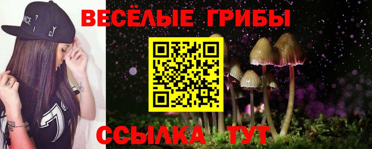 Галлюциногенные грибы прущие грибы Артём